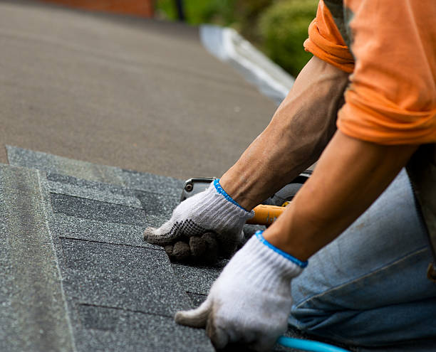 Quick and Trustworthy Emergency Roof Repair Services in Bronson, FL