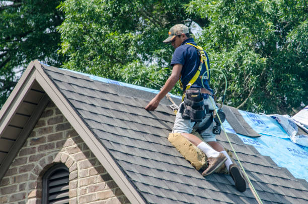 Residential Roof Replacement in Bronson, FL